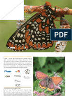 305152283-Butterflies-of-Toronto-A-Guide-to-Their-Remarkable-World-2010.pdf