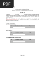 Acta de Constitución Copaso