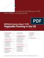 Vegetable Farming in The US Industry Report