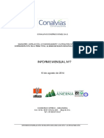 20140730-Informe Mensual Nº 7 Completo