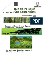 Enfoque Paisajes Sostenibles