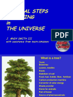 A Sustainable Universe