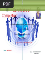 Certificate of Completion