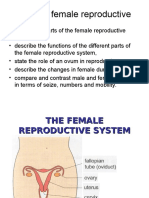 4.3 the Female Repr System