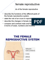 4.3 The Female Repr System