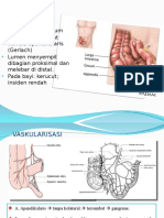 Appendisitis Akut