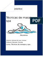 T.P de T. de Masajes y Spa