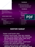 Sistem Saraf Cerebrum1