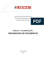 Organização de Documento I