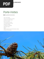 Porta Visões, por João Soares