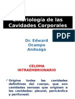 Embriologia Cavidades Corporales