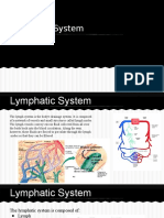 Lymphatic System 2