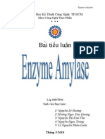 Tieu Luan Enzym Amylase