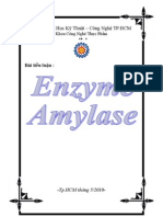 Bia Enzyme Amylase