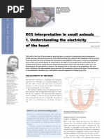 Download ECG interpretation in small animals by gacf1974 SN31969732 doc pdf