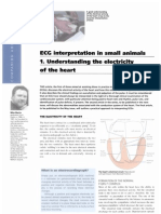 ECG Interpretation in Small Animals