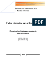 BM13.pdf