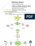 Biology Notes - Maintaining A Balance