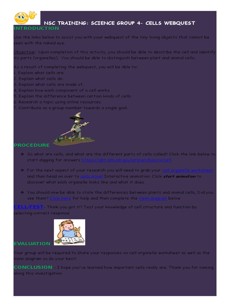 Cells Webquest: Exploring Cell Biology | PDF | Science & Mathematics