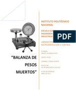 BALANZA DE PESOS MUERTOS.pdf