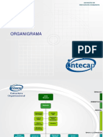 organigrama2013.pdf