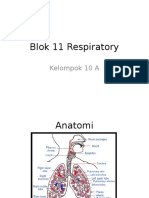 Blok 11 Respiratory