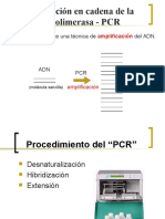 Fundamentos de PCR