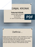 Gagal Ginjal Kronik Tina