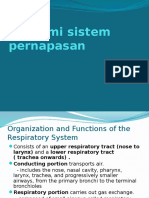 Anatomi Sistem Pernapasan