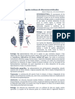 2-Guia_Macroinvertebrados.pdf