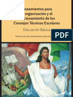 1 Lineamientos para la organizacion y el funcionamiento de los Consejos Tecnicos Escolares.pdf