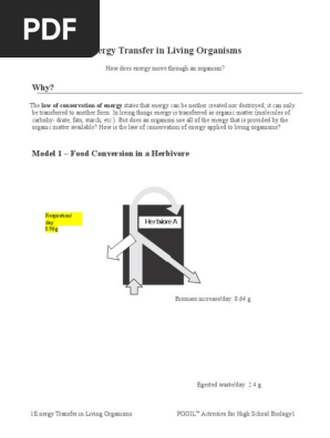 Energy Transfer In Living Anisms Nats Pdf Carbon Dioxide Cellular Respiration