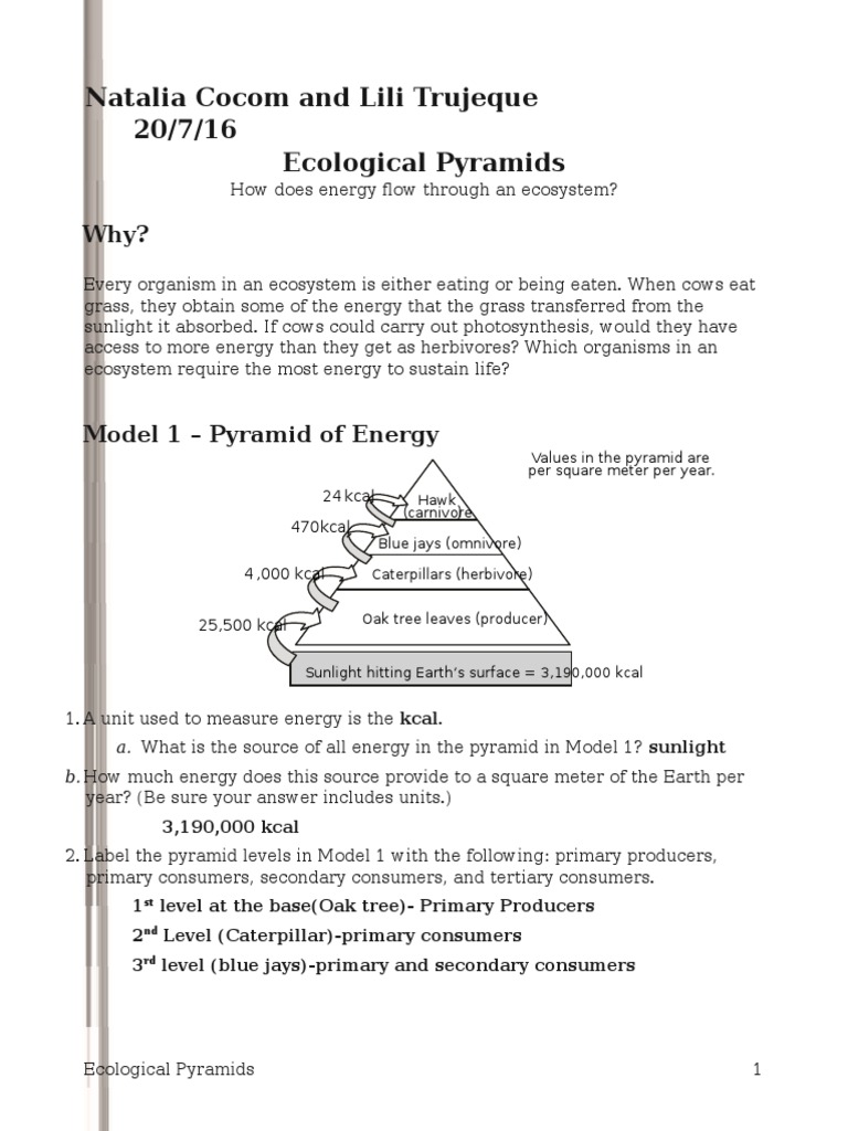 22 Ecological Pyramids-Natalia  PDF  Biomass (Ecology)  Food Web In Ecological Pyramids Worksheet Answers