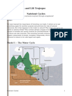 nutrient cycles pogil-natalia