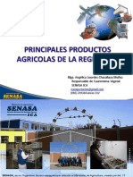 Principales Productos Agricolas de La Region Ica