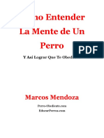 Cómo entender a tu perro en 6 claves