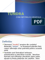 0 Tundra