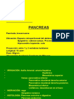 Semiologia Pancreas