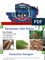 Tugas KWHU Tanaman Ubi Kayu New