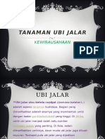 UBI JALAR USAHA