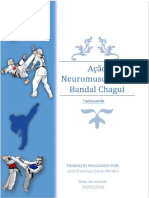 Acao Neuromuscular do Bandal chagui