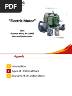 Introduction Electrical Motor