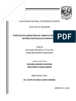 Tesis Diseños de Sistemas Artificiales PDF