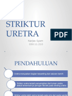 STRIKTUR URETRA