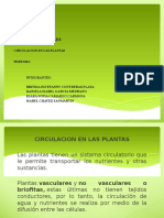 Diapositiva Circulacion en Plantas