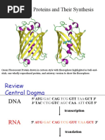 Chapter 9 Proteins and Their Synthesis