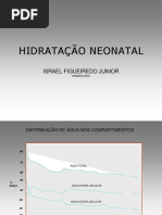 hidratacaofigueiredoI.pdf