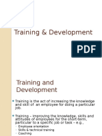 Training & Development