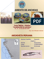 Procesamiento de anchoas