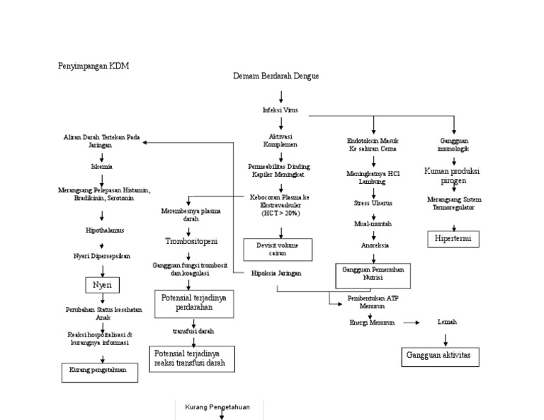 Penyimpangan KDM | PDF